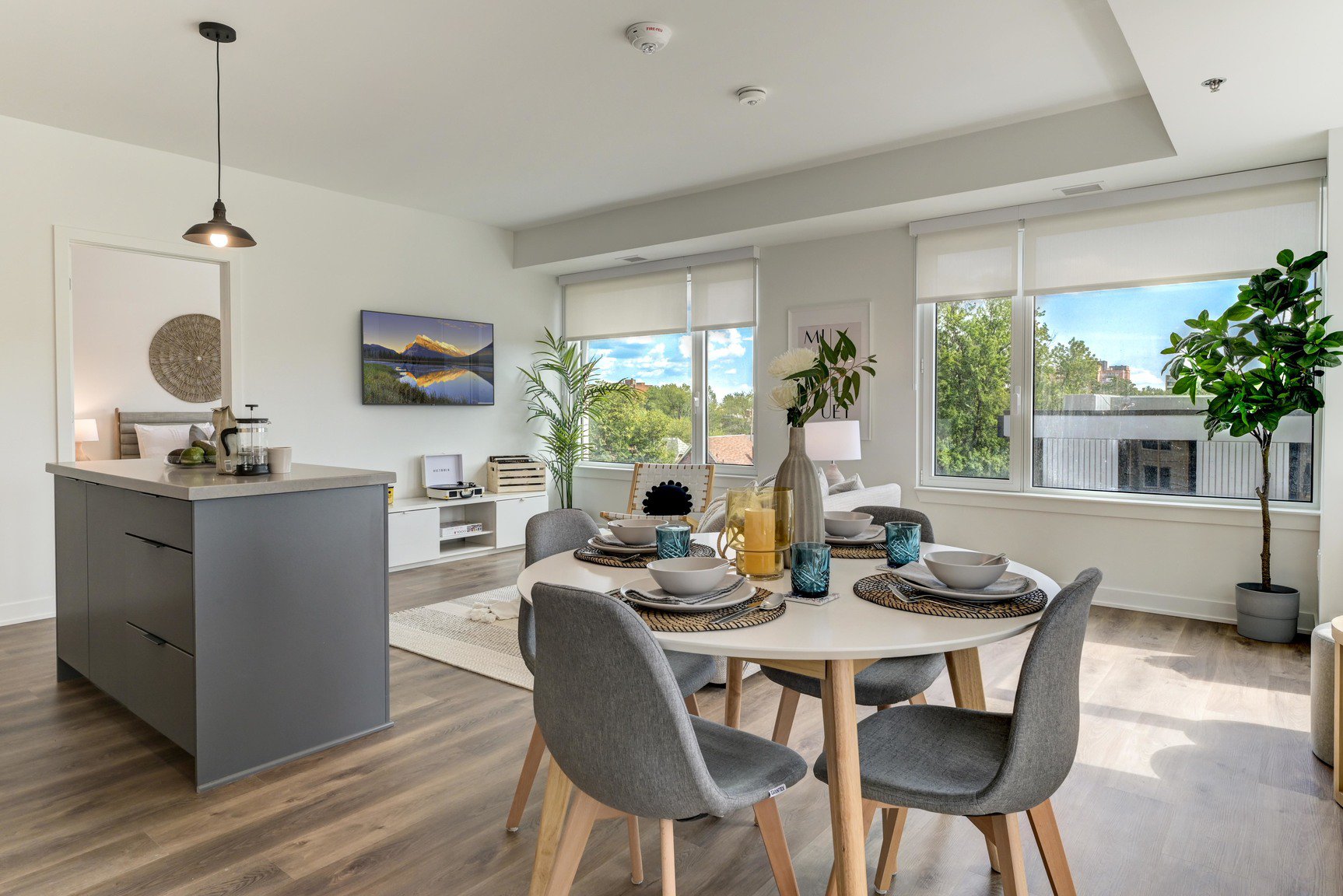 Rentals.ca ) 165 Chapel Street, Ottawa ON for Rent