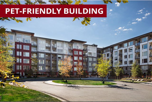 Rentals Ca Burnaby Apartments Condos And Houses For Rent