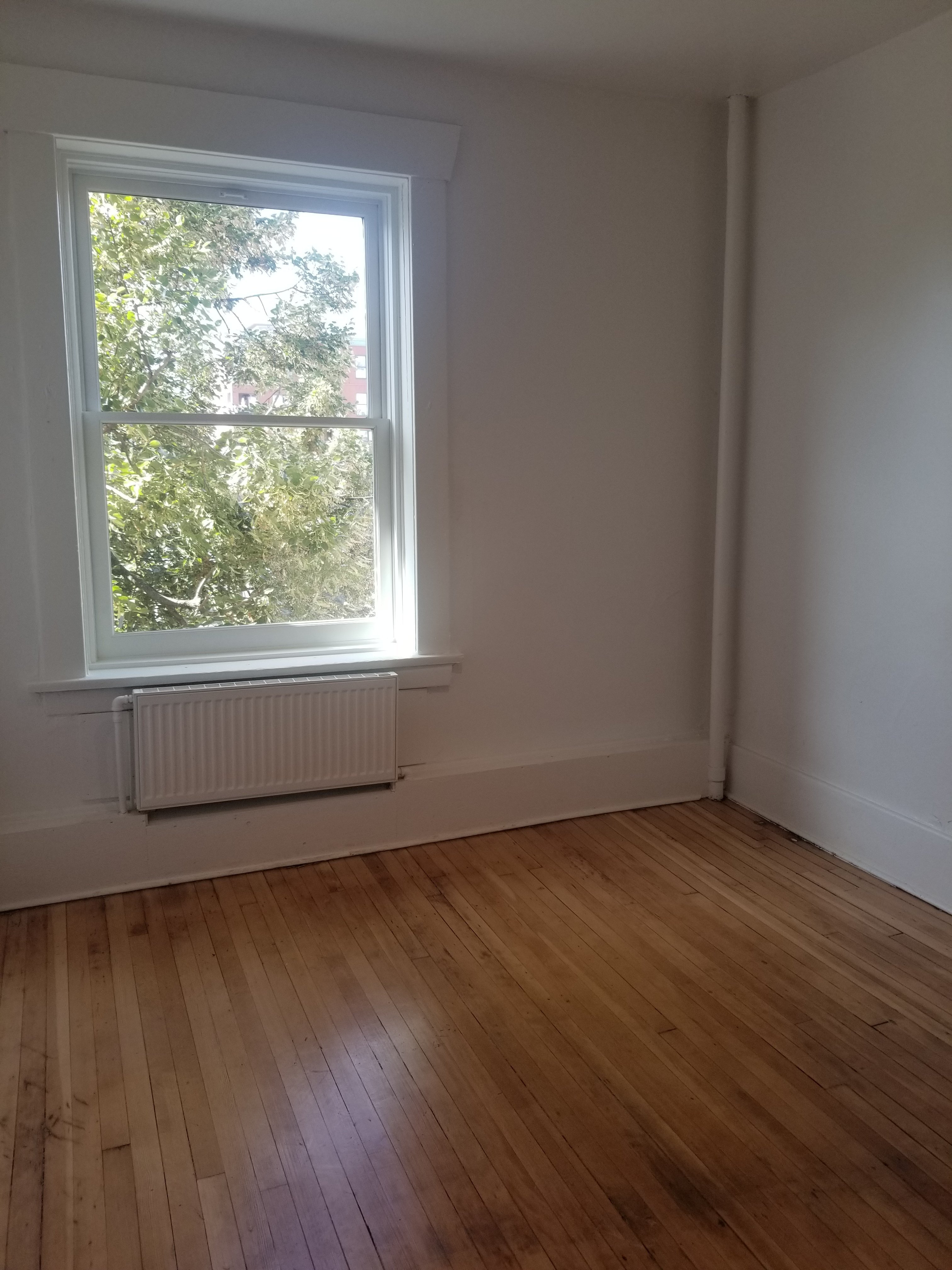 291 East Street, Vancouver, BC Room for rent