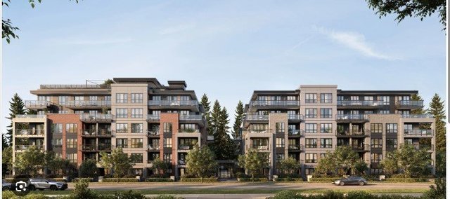 710 Dogwood Street
