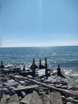 Lake Shore Boulevard West