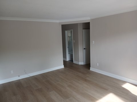 381 Royal York Road