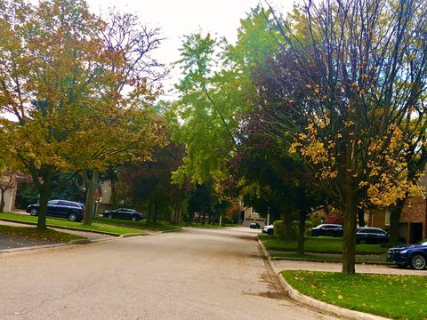 1543 Polesden Drive