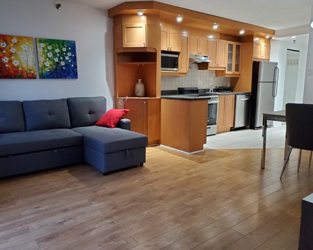 1 Bdr, Furnished, Downtown, A/C, WIFI & All Incl.