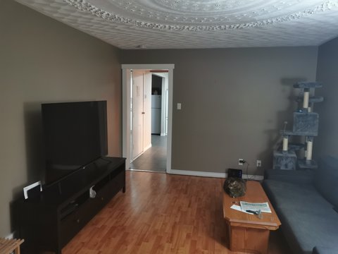 117 Lees Avenue