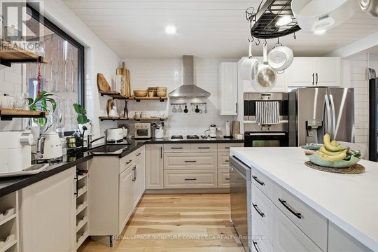 MAIN - 18 HARLTON CRESCENT