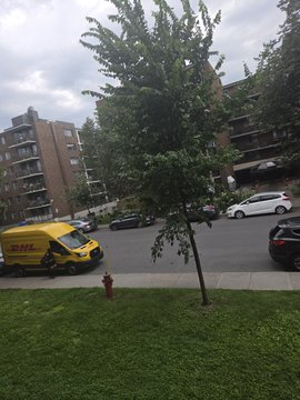 10355 Avenue de Bois-de-Boulogne